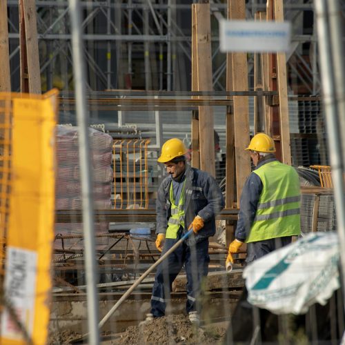 pexels-borishamer-14367421